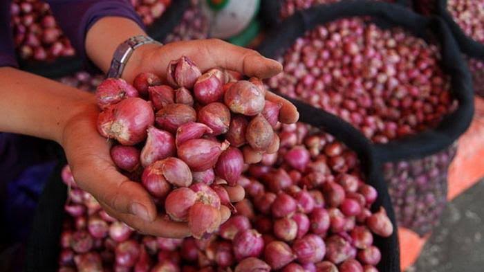 Harga bawang merah di Pekanbaru terus meroket (foto/pemkopku)
